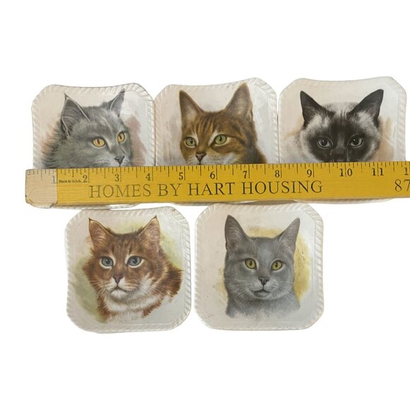 Cat Kittens Kitties 5 Trinket Trays Royal Adderley Bone China Made in England - Picture 2 of 8
